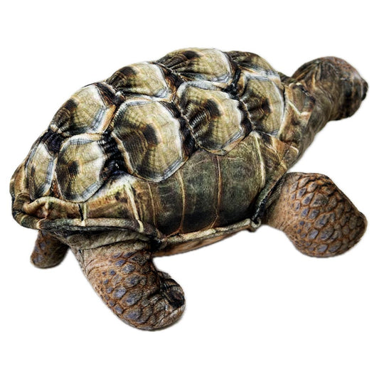 This Eco Aldabra Tortoise soft toy from Zappi is 100% recycled, making him not only cute but also good for the environment. A unique printed plush body with shell ridges, shaped toes and beaded eyes.
27cm