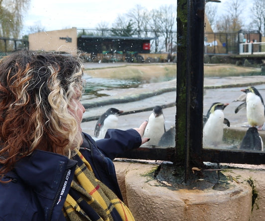 Join our brand-new short course to learn more about some of the fascinating projects our WildGenes team are involved in and dive into the science that goes on behind the scenes in the only zoo-based conservation genetics lab in the UK, all from the comfort of your own home!
The first in a forthcoming series of deep-dives into the wonderful world of WildGenes, in this programme we offer an introduction to genetics and how they can be used in wildlife conservation, before looking at how this incredible