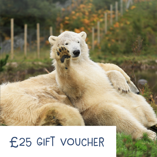 Our Gift E-Vouchers can be used towards anything from entry to Edinburgh Zoo or Highland Wildlife park, toys and gifts in our gift shops, or to buy lunch in one of our cafes and restaurants around the Zoo or Park. Vouchers come in denominations of £10 or £25. They can be used at Edinburgh Zoo or at the Highland Wildlife Park.