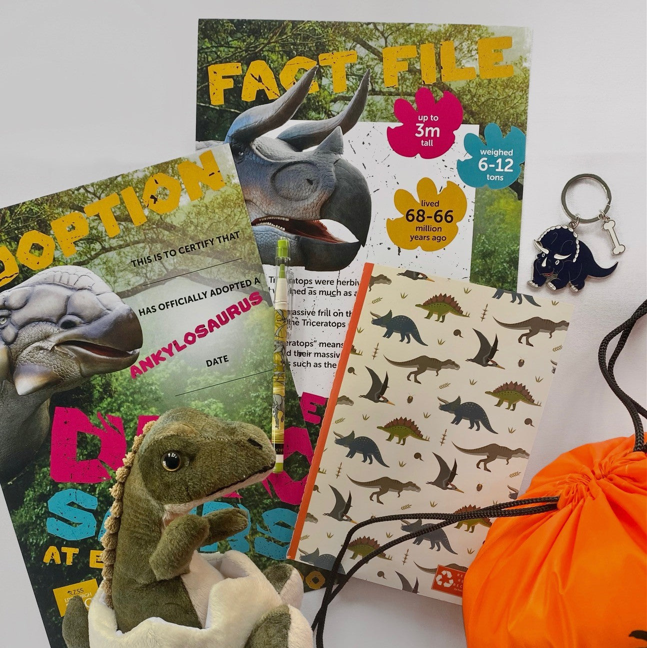 Brachiosaurus Adoption Package