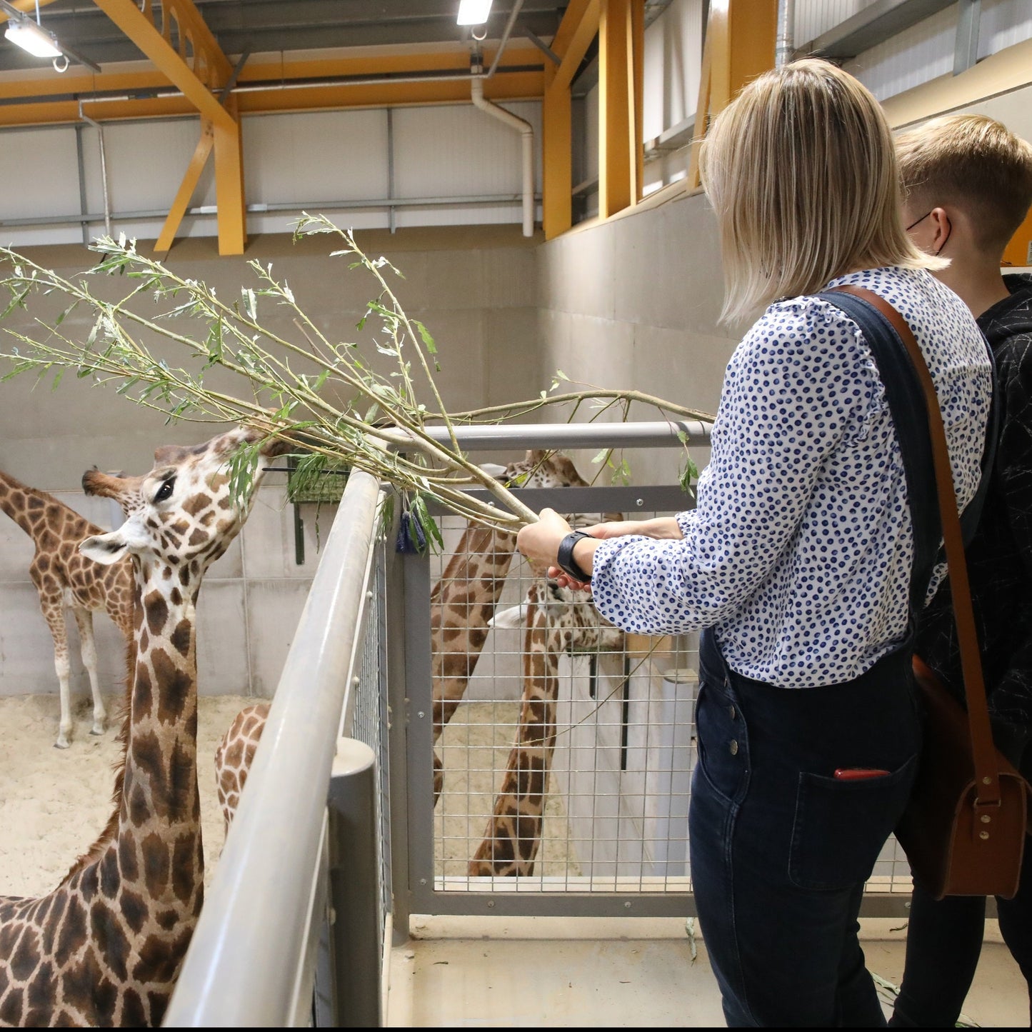 Giraffe Magic Moment (ages 6 - 11)
