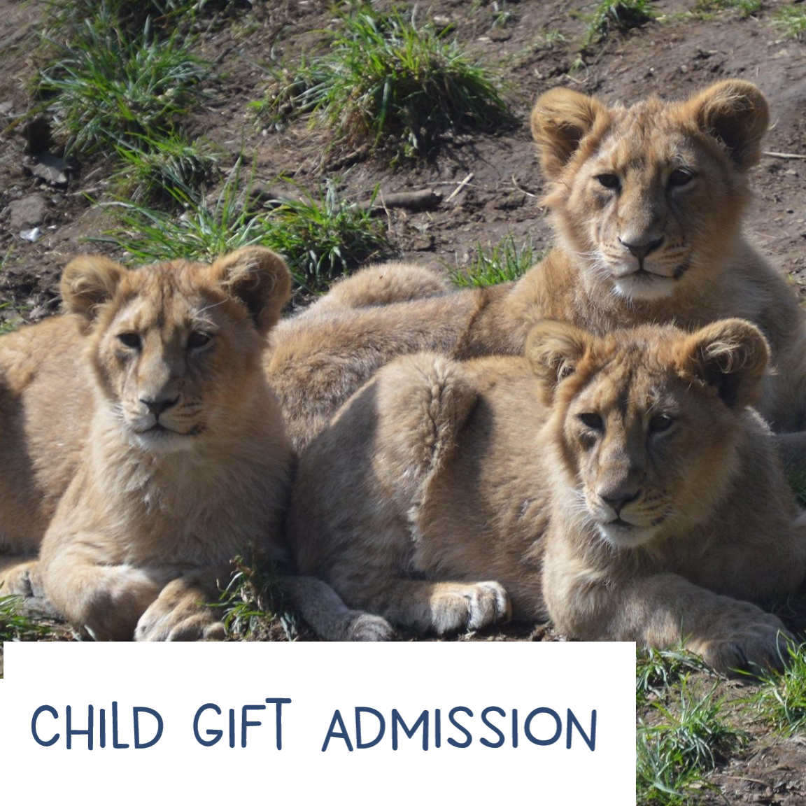 Child - Gift Admission E-Voucher