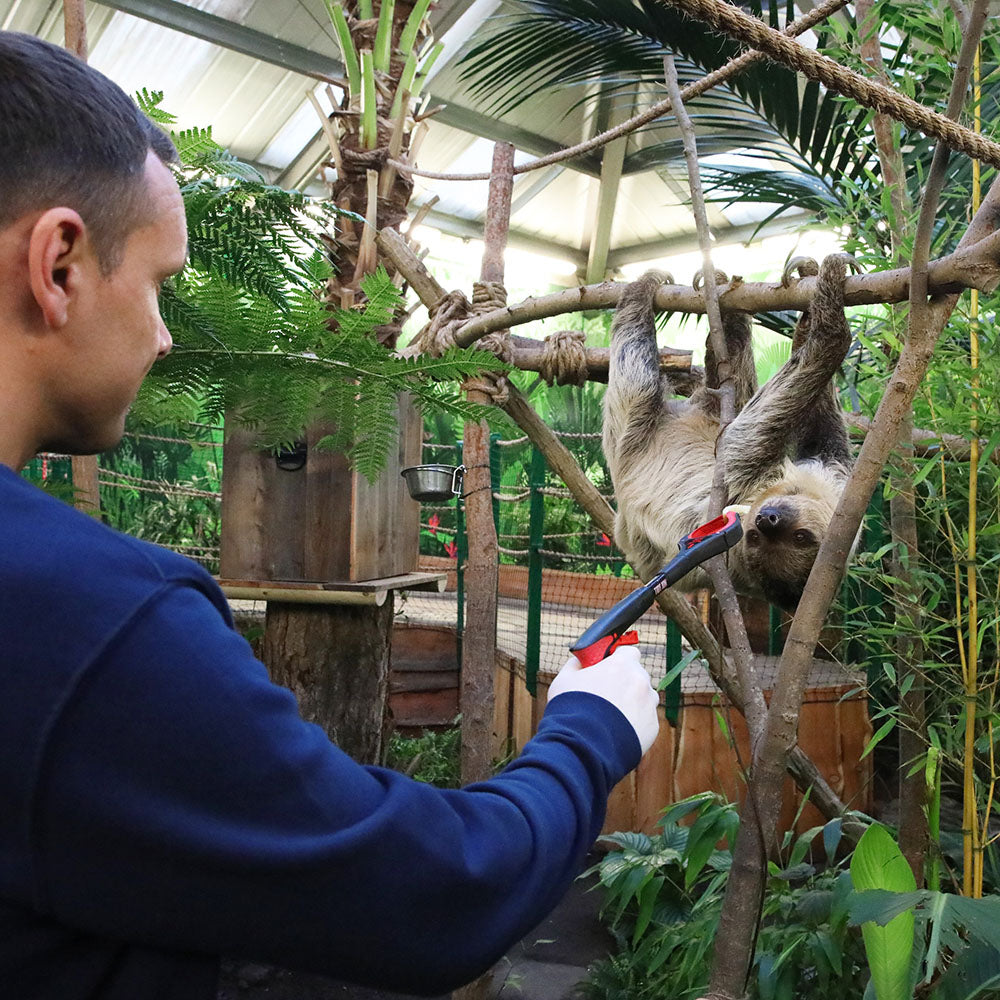 Hang out with our Linne’s two-toed sloths, Mo and Fe in this new special magic moment! Learn all about our sloths from our expert keepers, and go behind the scenes, feed Mo and Fe some tasty snacks and explore the area they eat, sleep and hang out in.