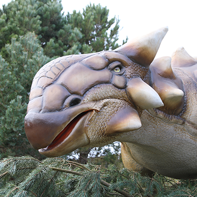 Anklyosaurus Adoption Package