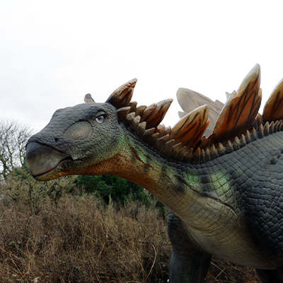 Stegosaurus Adoption Package