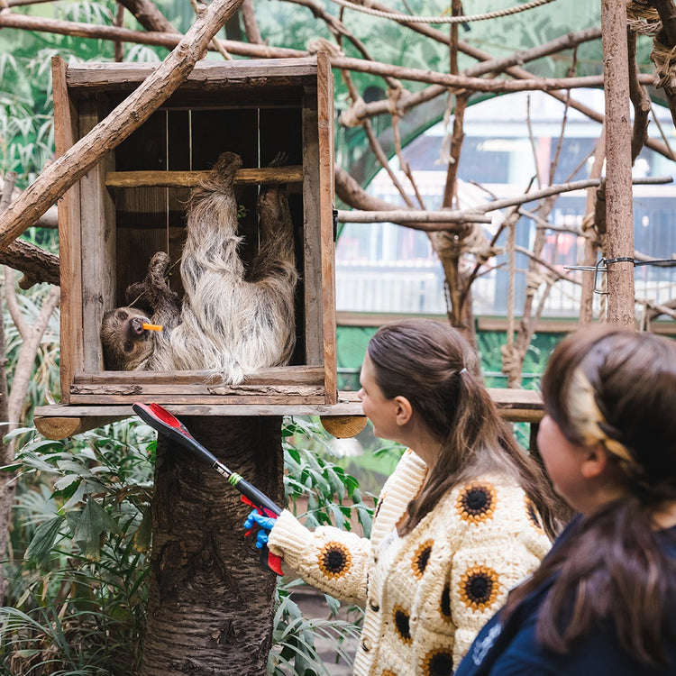 Edinburgh Zoo Experience Vouchers