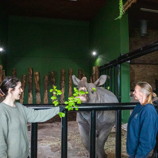 Rhino Magic Moment (ages 14+)