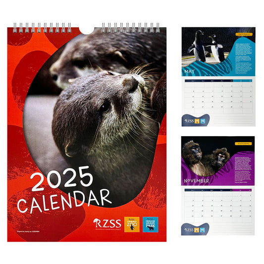 RZSS Wall Calendar 2025