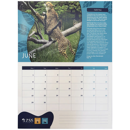 2026 RZSS Calendar