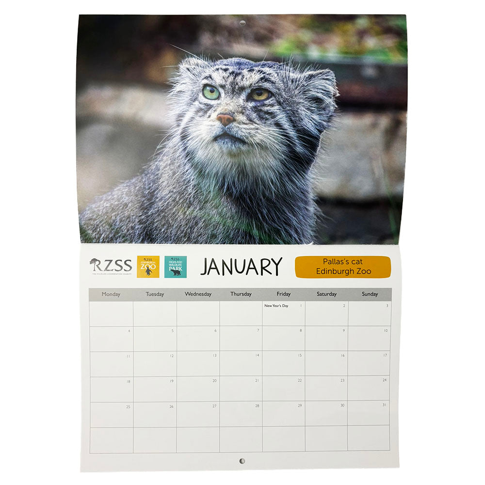 2027 RZSS wall calendar