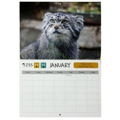 RZSS 2027 wall calendar