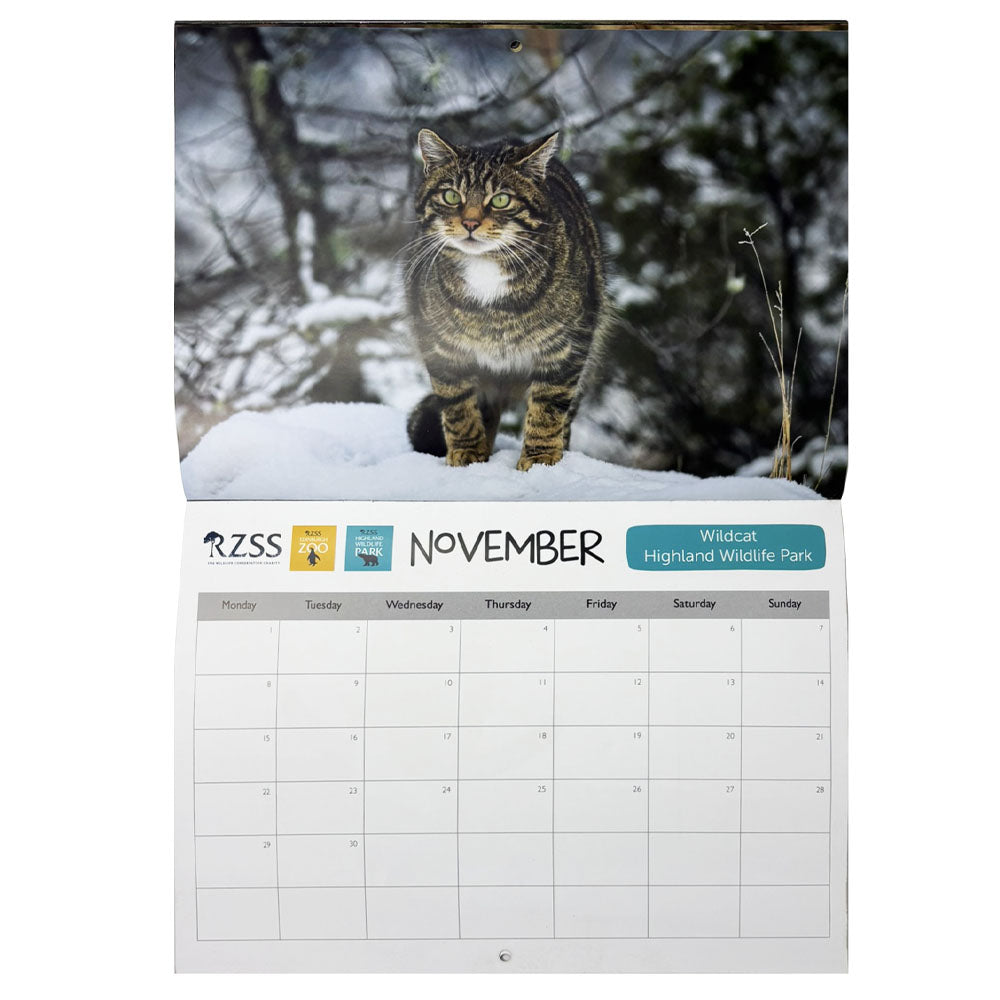 RZSS 2027 wall calendar