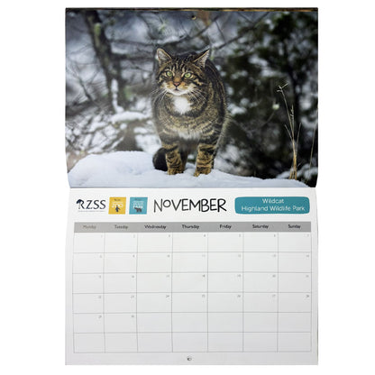 RZSS 2027 wall calendar