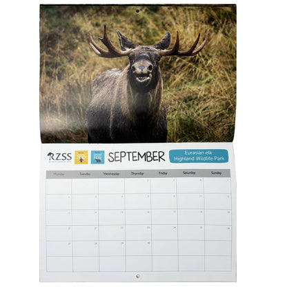RZSS 2027 wall calendar
