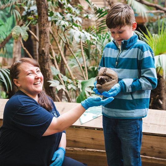 Armadillo Magic Moment (ages 6+)