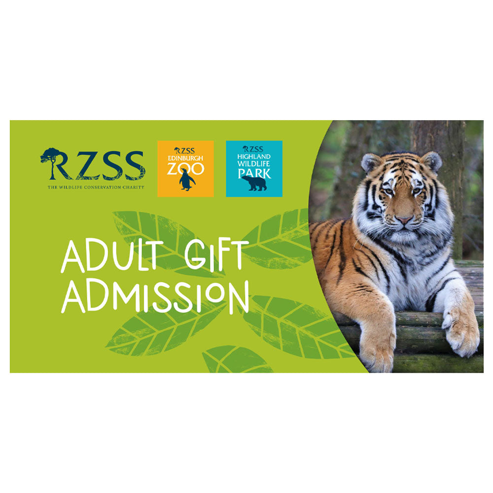 Bee Rzss Adult - RZSS Admission Voucher – Royal Zoological Society of Scotland