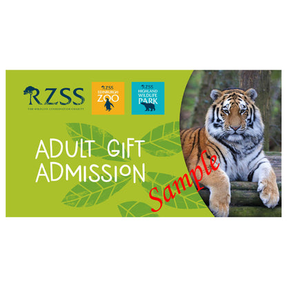 Sloth Rzss Adult - RZSS admission voucher – Royal Zoological Society of Scotland