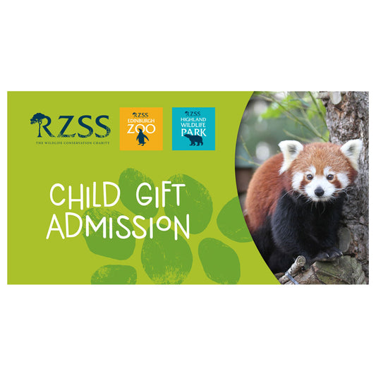 Looking for a wild gift idea but not sure what to get them?

Our Gift E-Vouchers can be used towards anything from entry to Edinburgh Zoo or the Highland Wildlife Park, to toys and gifts in our gift shops, or to buy lunch in one of our cafes and restaurants around the Zoo or Park.

Vouchers come in denominations of £10, £25 or £50. They can be used at Edinburgh Zoo or at the Highland Wildlife Park.