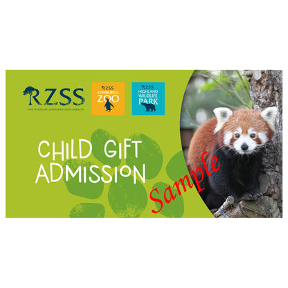 Child - RZSS Admission Voucher