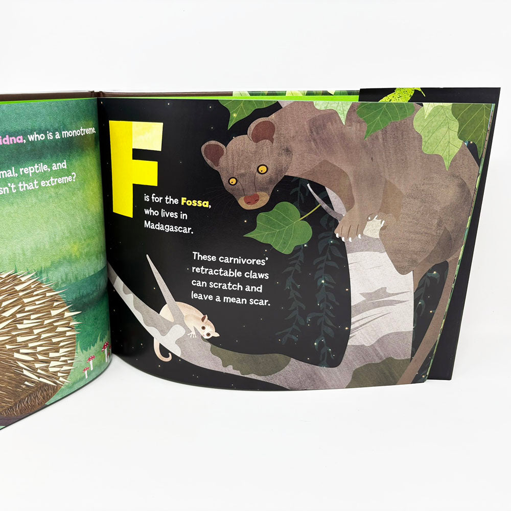 A is for Axolotl Hardback Book