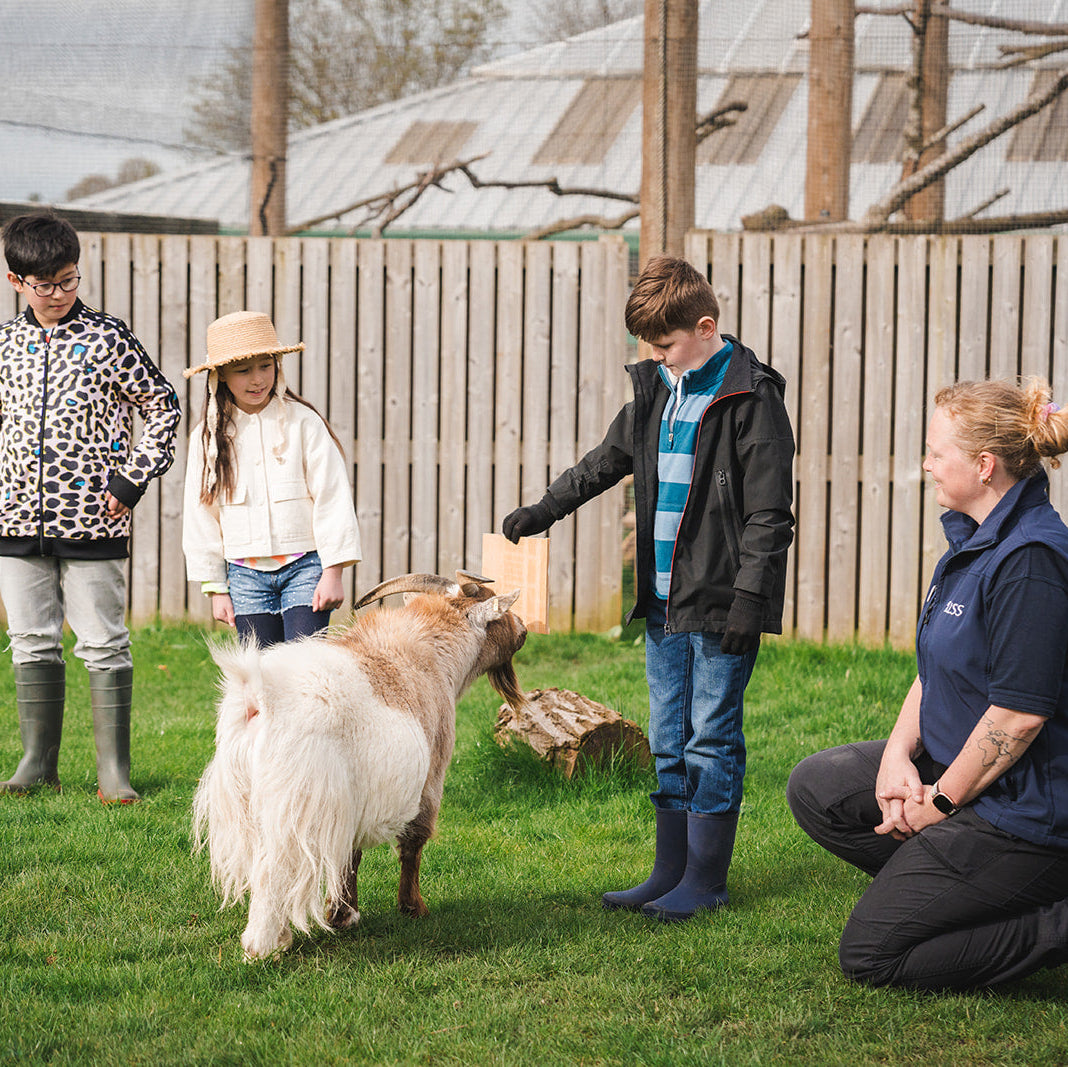 Close Encounters Magic Moment (ages 5+)
