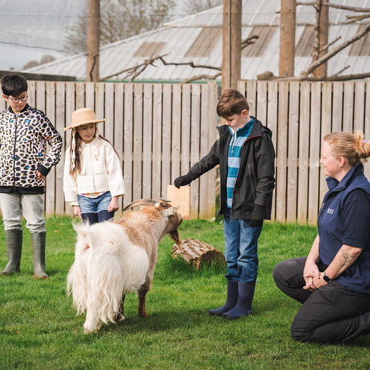Close Encounters Magic Moment (ages 5+)
