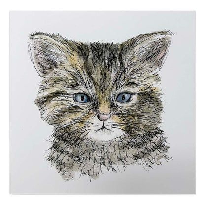 Highland Wildlife Park Wildcat Kitten Card by Catherine Redgate