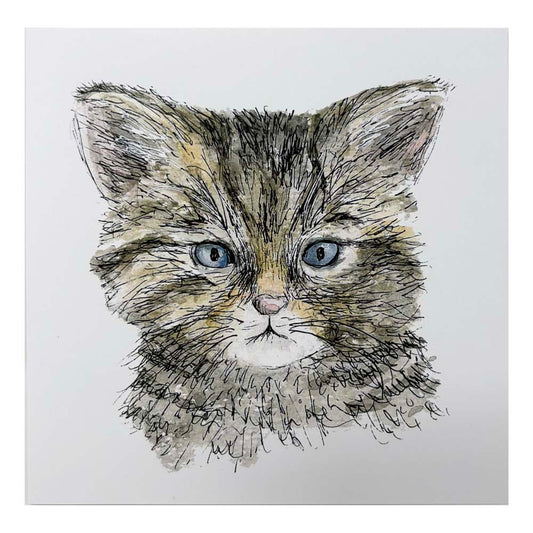 Highland Wildlife Park Wildcat Kitten Card by Catherine Redgate