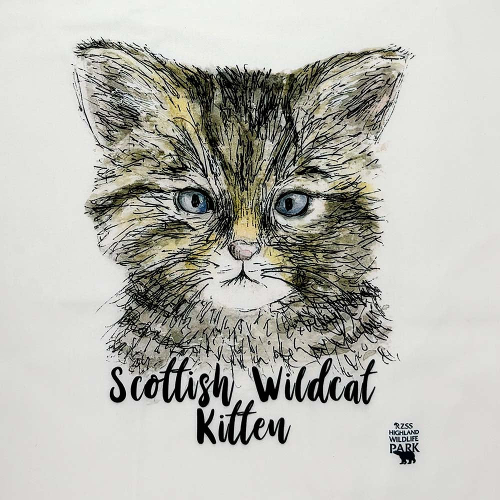 Wildcat Kitten Tote Bag by Catherine Redgate