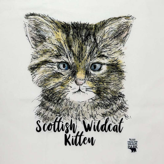 Wildcat Kitten Tote Bag by Catherine Redgate
