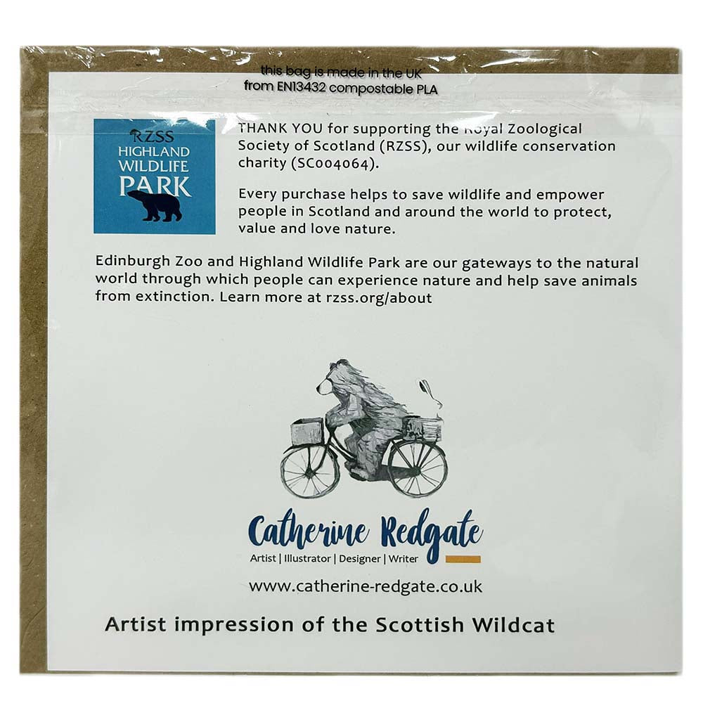 Highland Wildlife Park Wildcat Card by Catherine Redgate