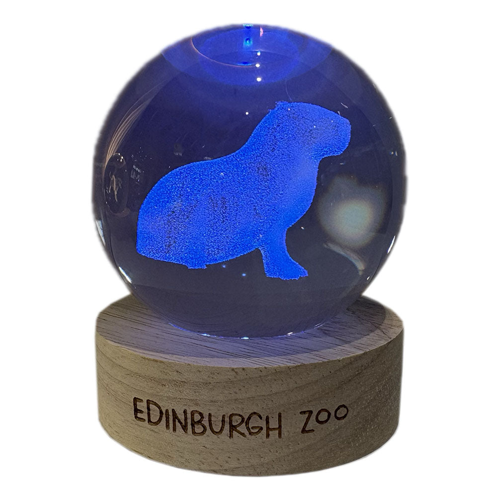 Edinburgh Zoo capybara light up crystal globe