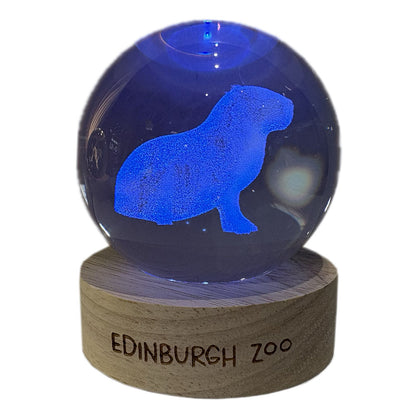 Edinburgh Zoo capybara light up crystal globe