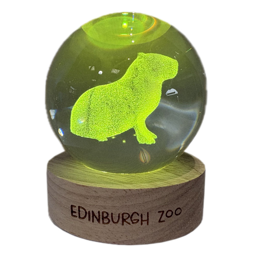 Edinburgh Zoo capybara light up crystal globe