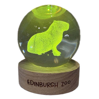 Edinburgh Zoo capybara light up crystal globe
