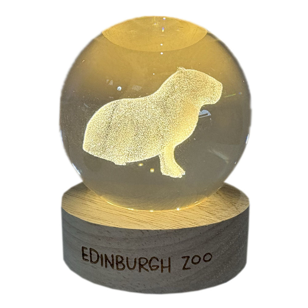 Edinburgh Zoo capybara light up crystal globe