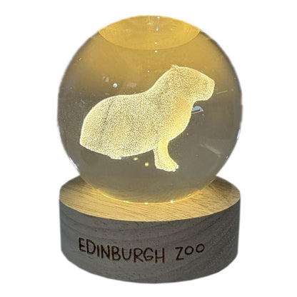 Edinburgh Zoo capybara light up crystal globe