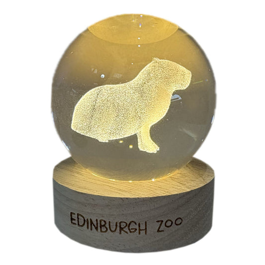 Edinburgh Zoo Capybara Light Up Crystal Globe