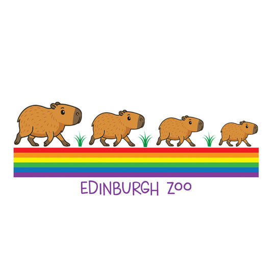 Edinburgh Zoo Capybara Rainbow Children's T-Shirt - White