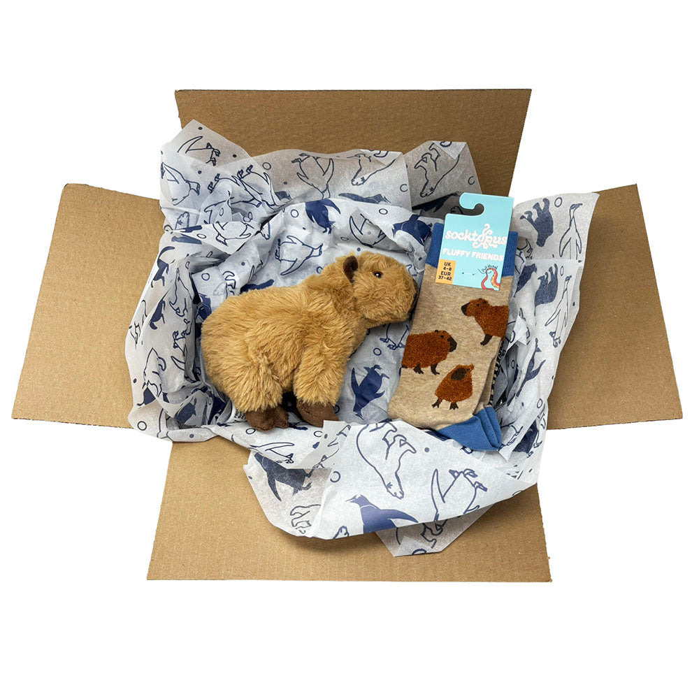 Capybara fan gift