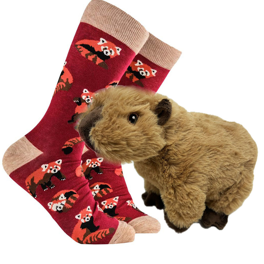 Capybara fan gift