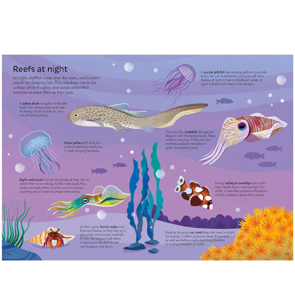 Coral Reef Book and Jigsaw