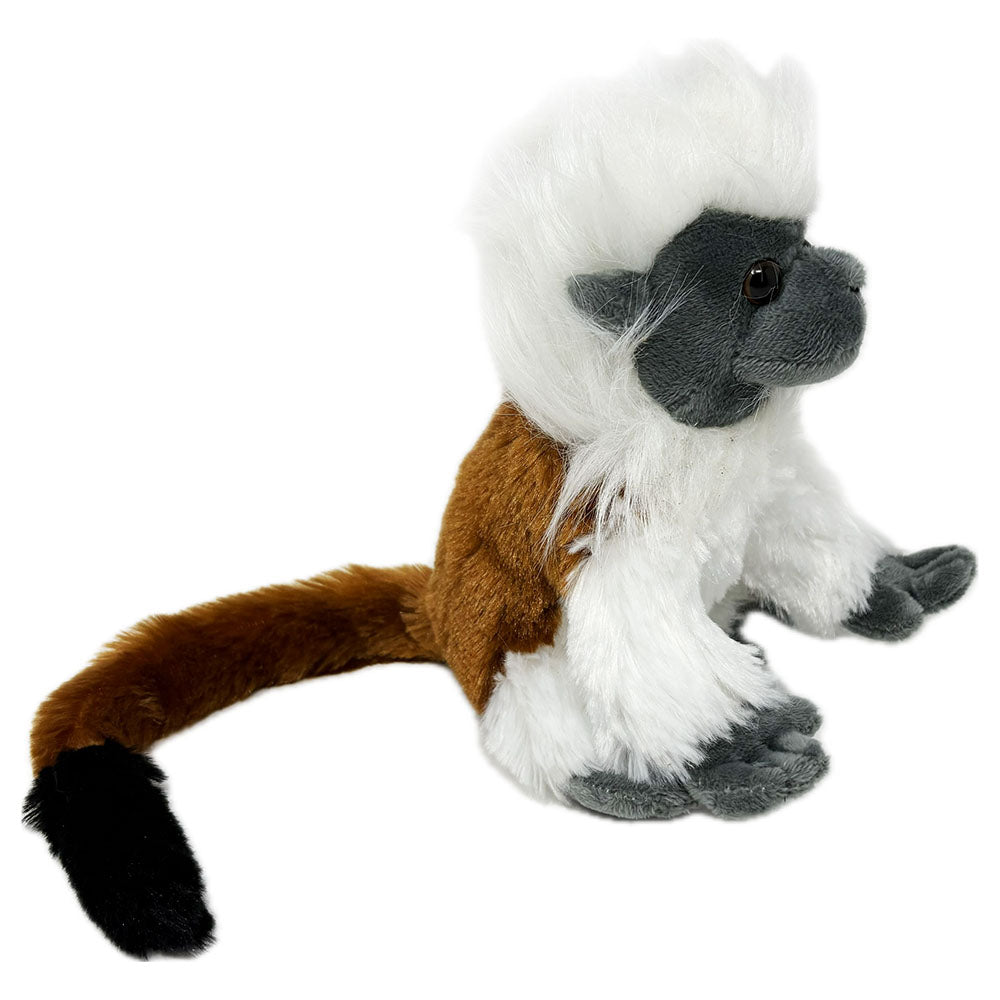 Cotton top tamarin soft toy - 18cm