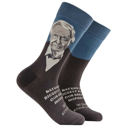 Socktopus David Attenborough socks - grey