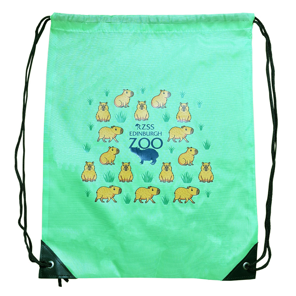 EZ Capybara Drawstring Bag