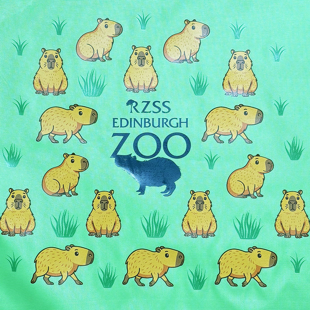 EZ Capybara Drawstring Bag