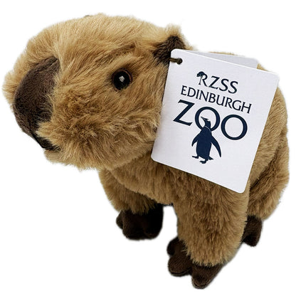 Edinburgh Zoo capybara eco soft toy - 18cm