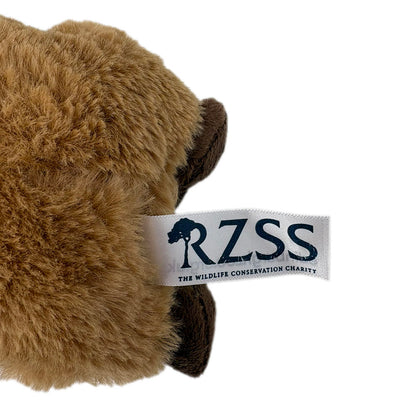 Edinburgh Zoo capybara eco soft toy - 18cm