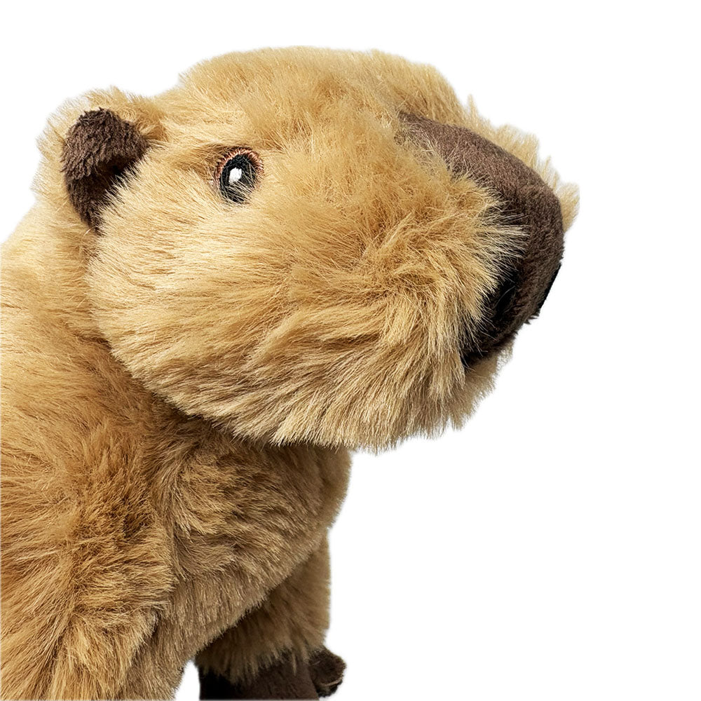 Edinburgh Zoo capybara eco soft toy - 18cm