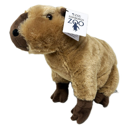 Edinburgh Zoo Capybara Soft Toy - 30cm